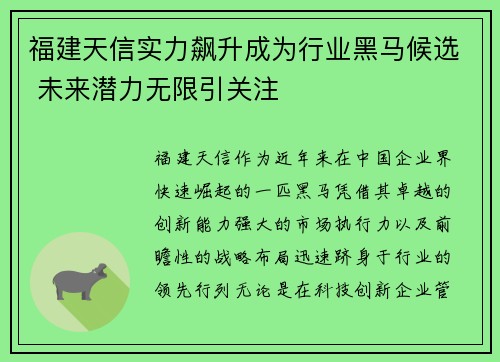 福建天信实力飙升成为行业黑马候选 未来潜力无限引关注