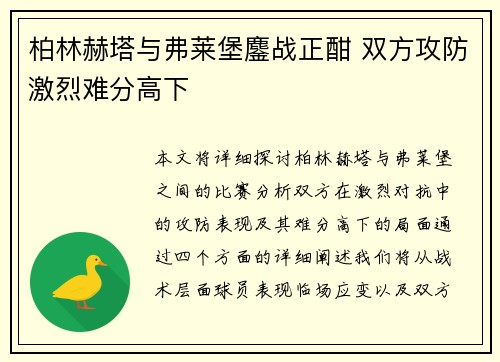 柏林赫塔与弗莱堡鏖战正酣 双方攻防激烈难分高下
