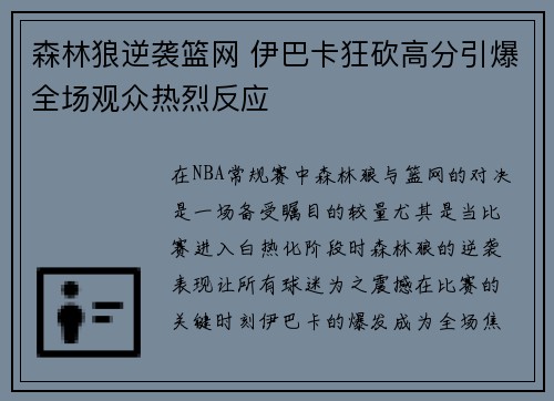 森林狼逆袭篮网 伊巴卡狂砍高分引爆全场观众热烈反应