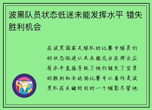 波黑队员状态低迷未能发挥水平 错失胜利机会