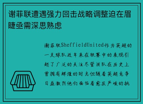 谢菲联遭遇强力回击战略调整迫在眉睫亟需深思熟虑