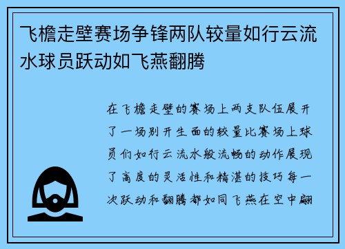 飞檐走壁赛场争锋两队较量如行云流水球员跃动如飞燕翻腾